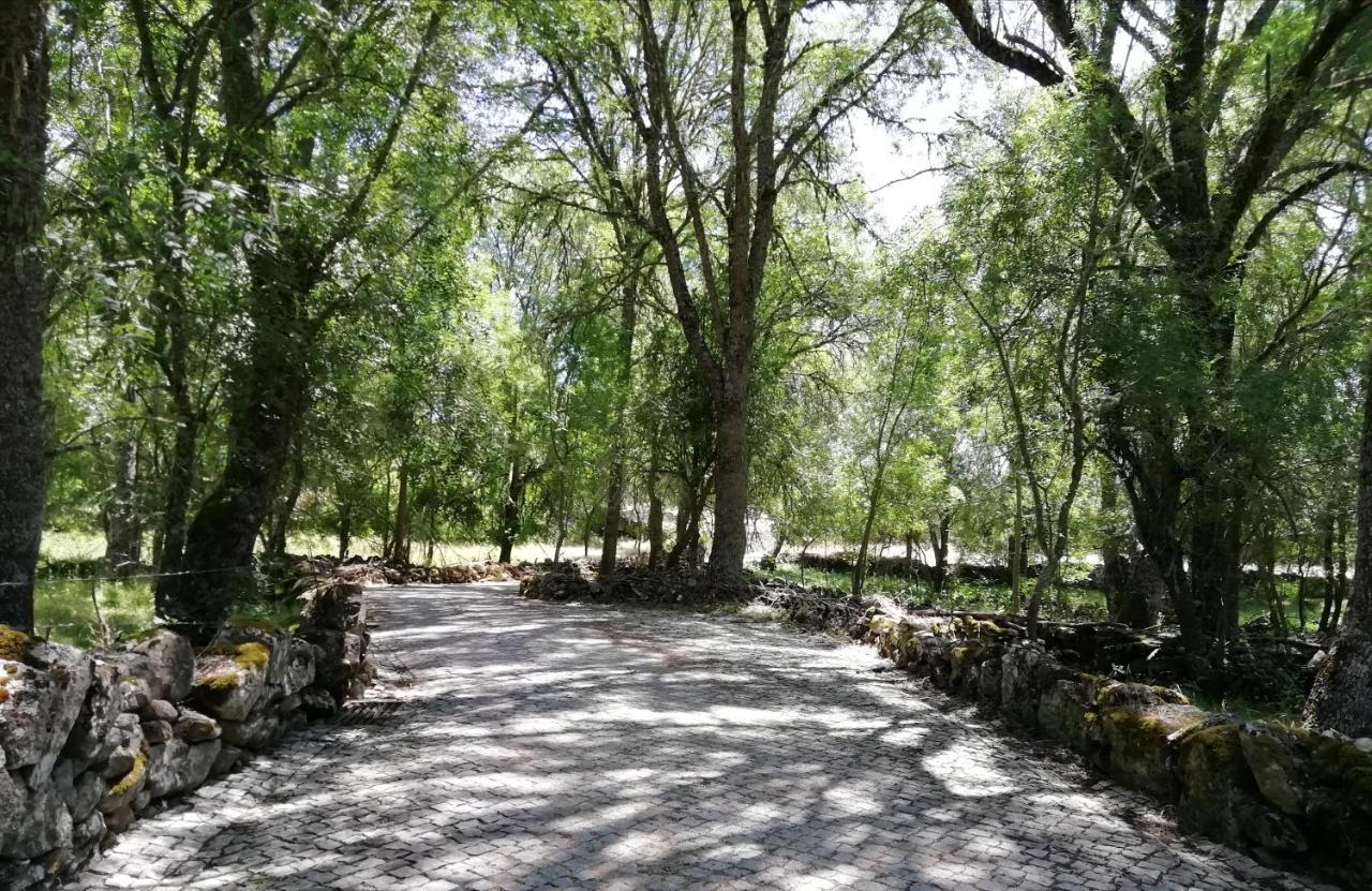 Carya Tallaya - Casas De Campo Vale das Éguas Eksteriør billede